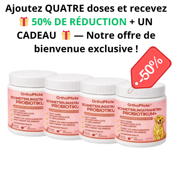 Ajoutez QUATRE doses et recevez đ 50% DE RĂDUCTION + UN CADEAU đ â Notre offre de bienvenue exclusive !