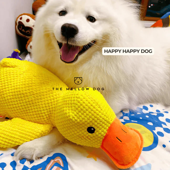 themellowdog