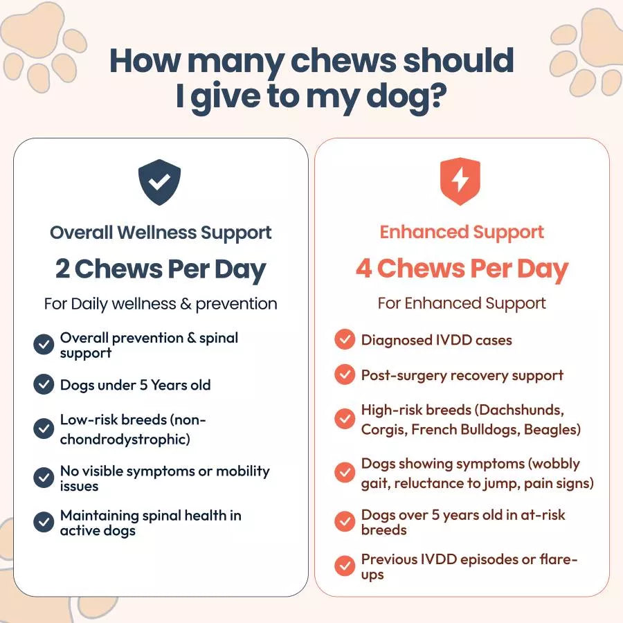 petsarekidstoo