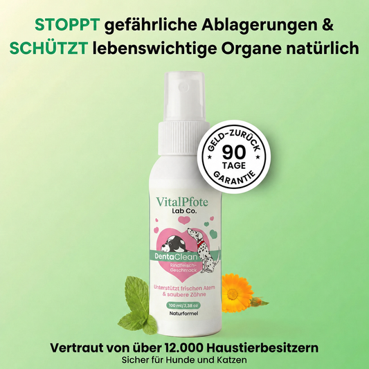 vitalpfote