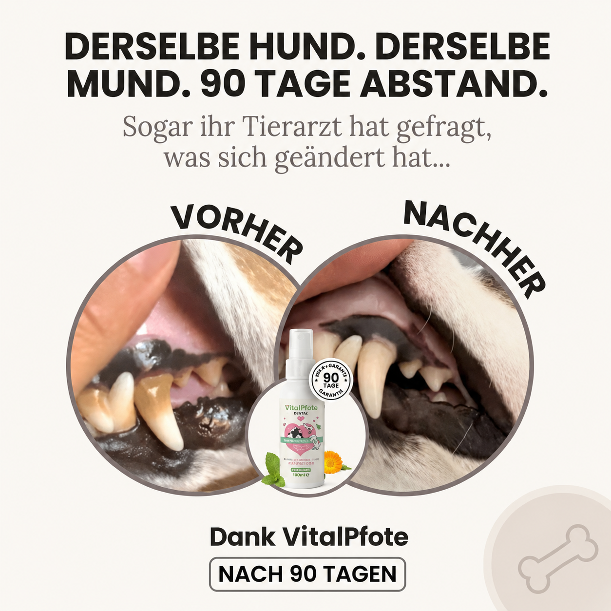 vitalpfote