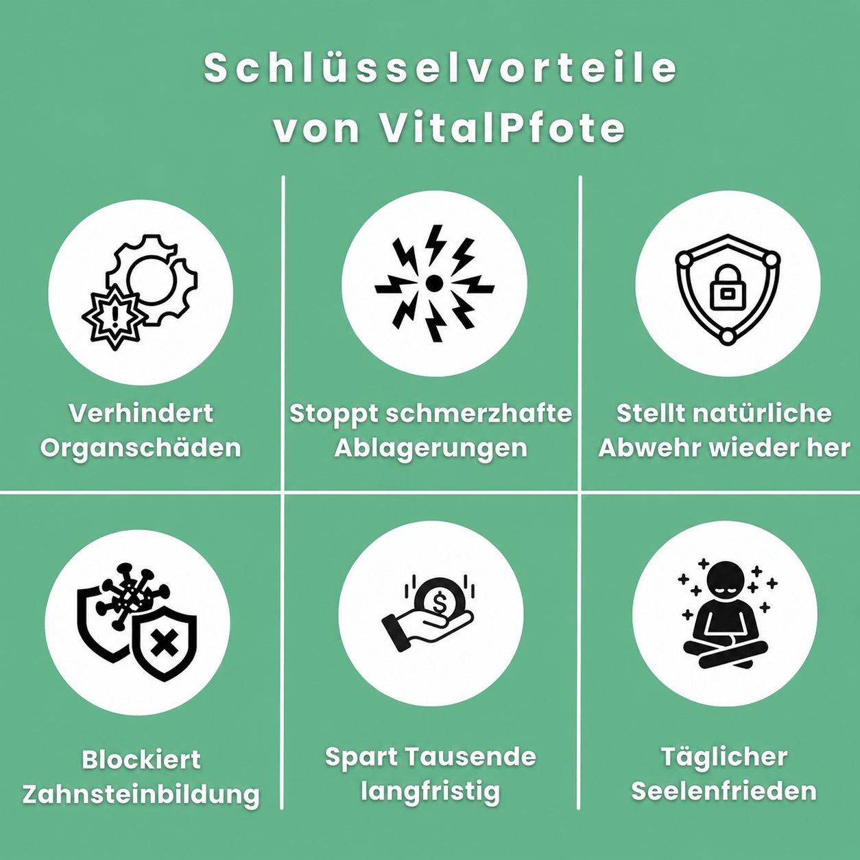 vitalpfote