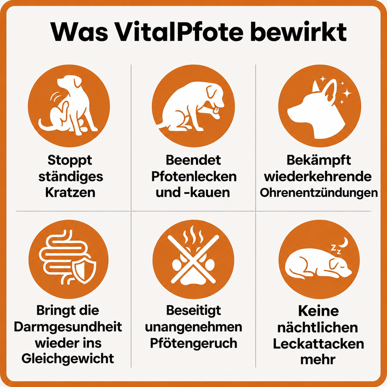 VitalPfote 2