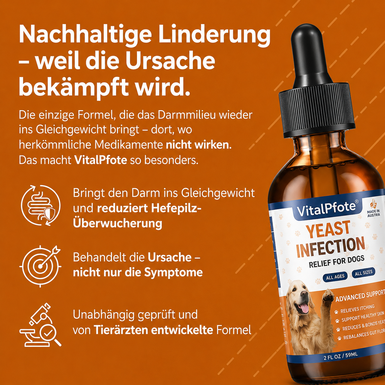 VitalPfote 2