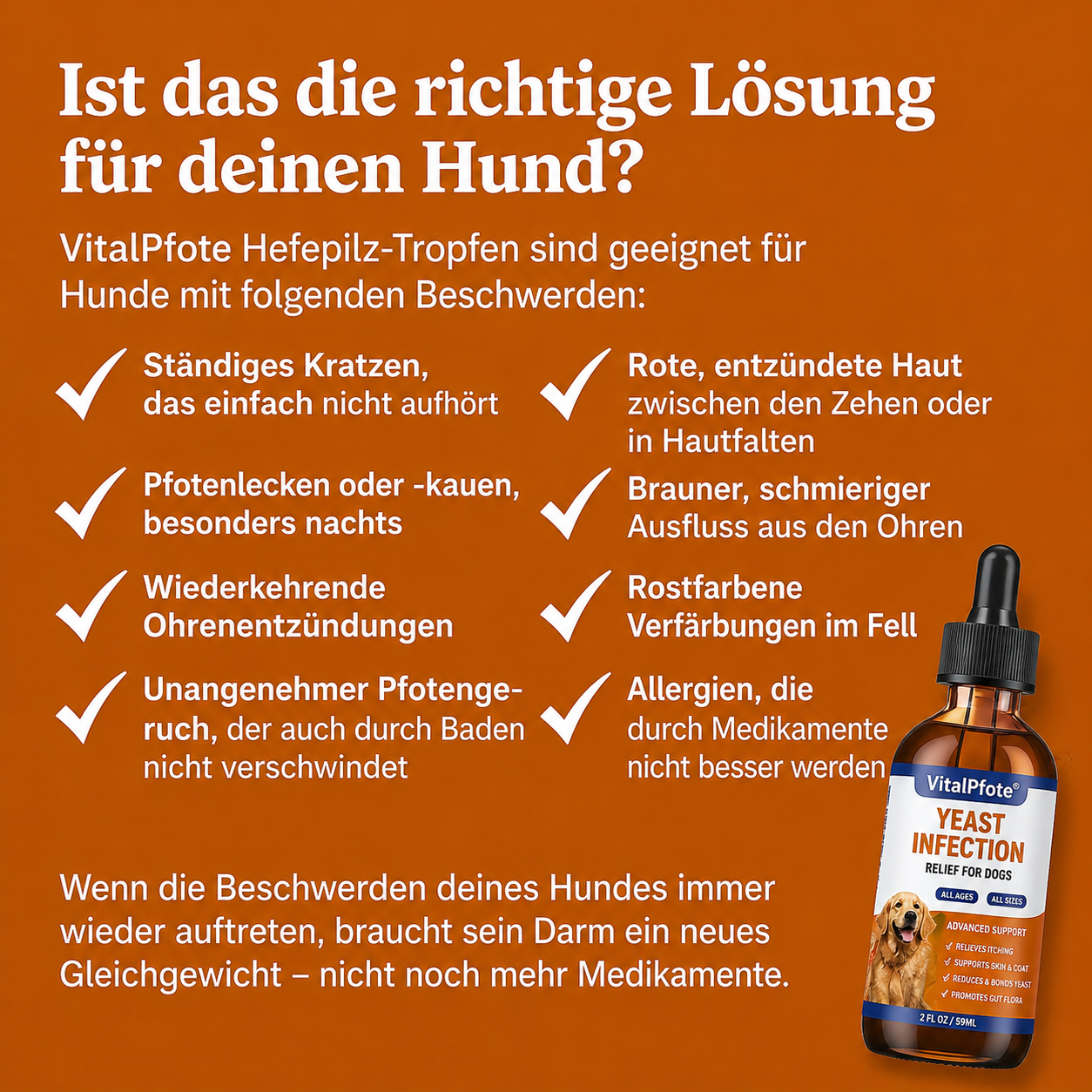 VitalPfote 2