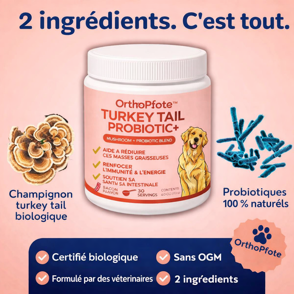 turkey-tail-probiotic™
