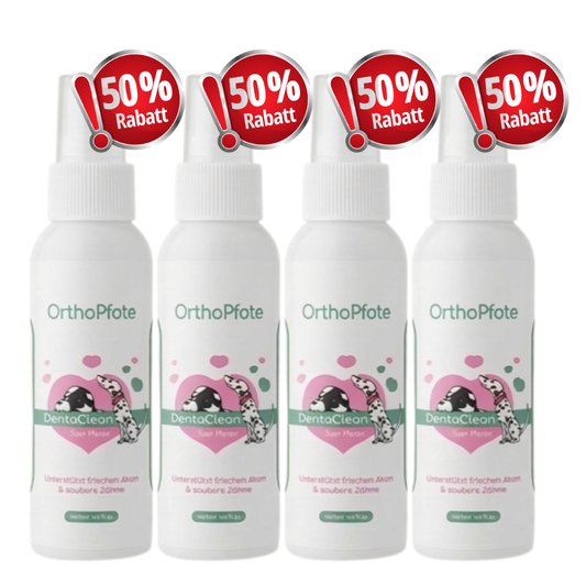 4 flacons d'OrthoPfote™ DentaNet