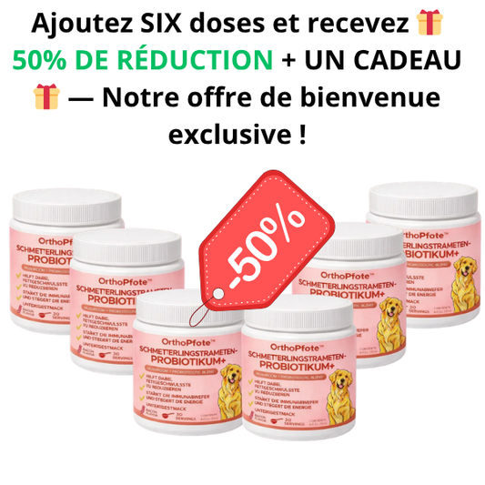 Ajoutez SIX doses et recevez 🎁 50% DE RÉDUCTION + UN CADEAU 🎁 — Notre offre de bienvenue exclusive !