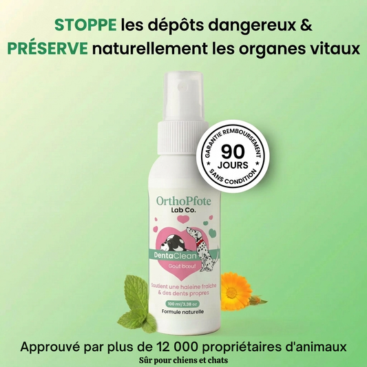 OrthoPfote DentaNet®