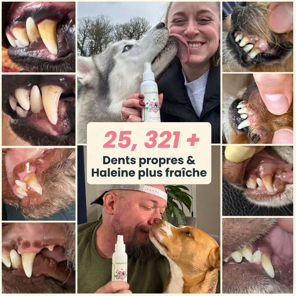 OrthoPfote DentaNet®