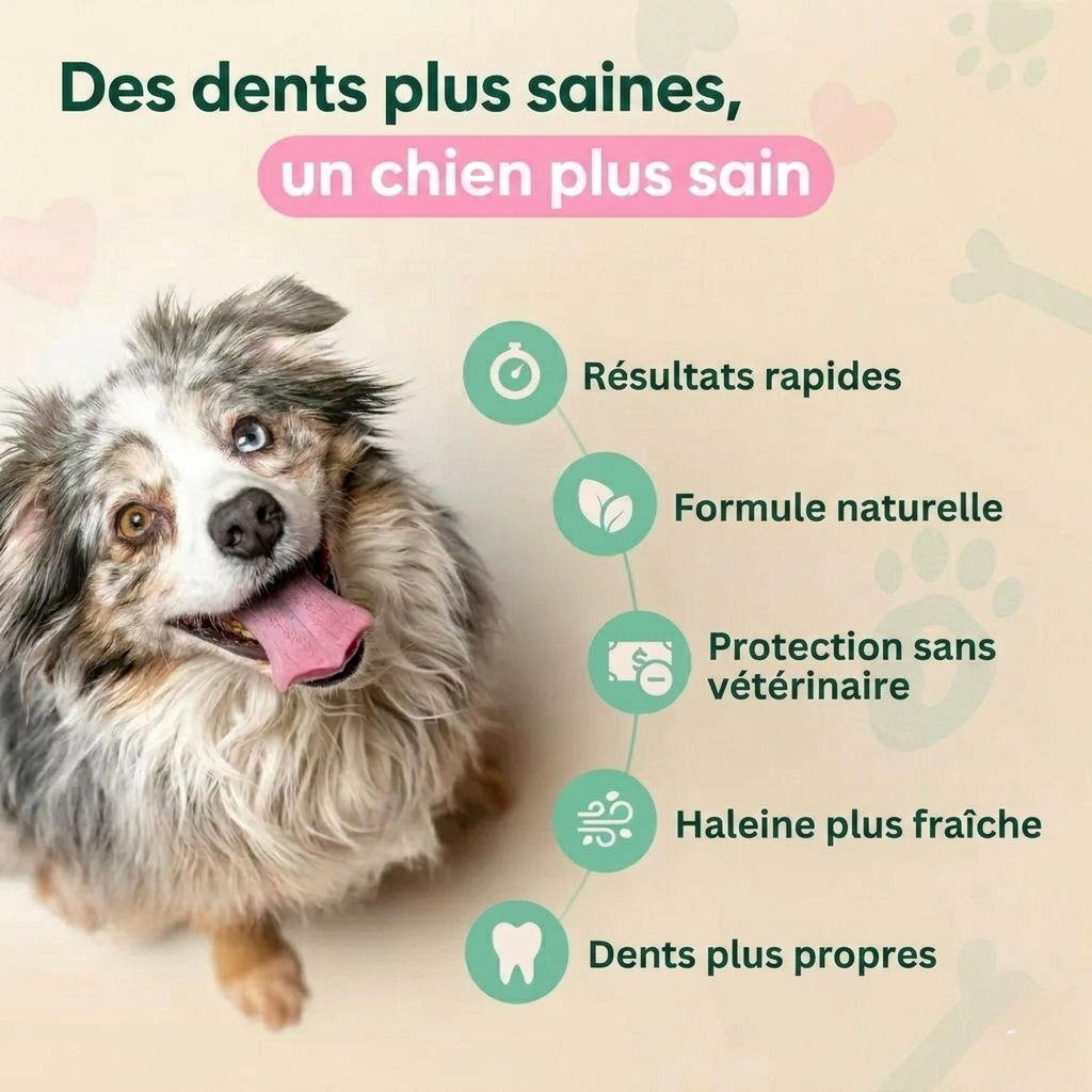 OrthoPfote DentaNet®