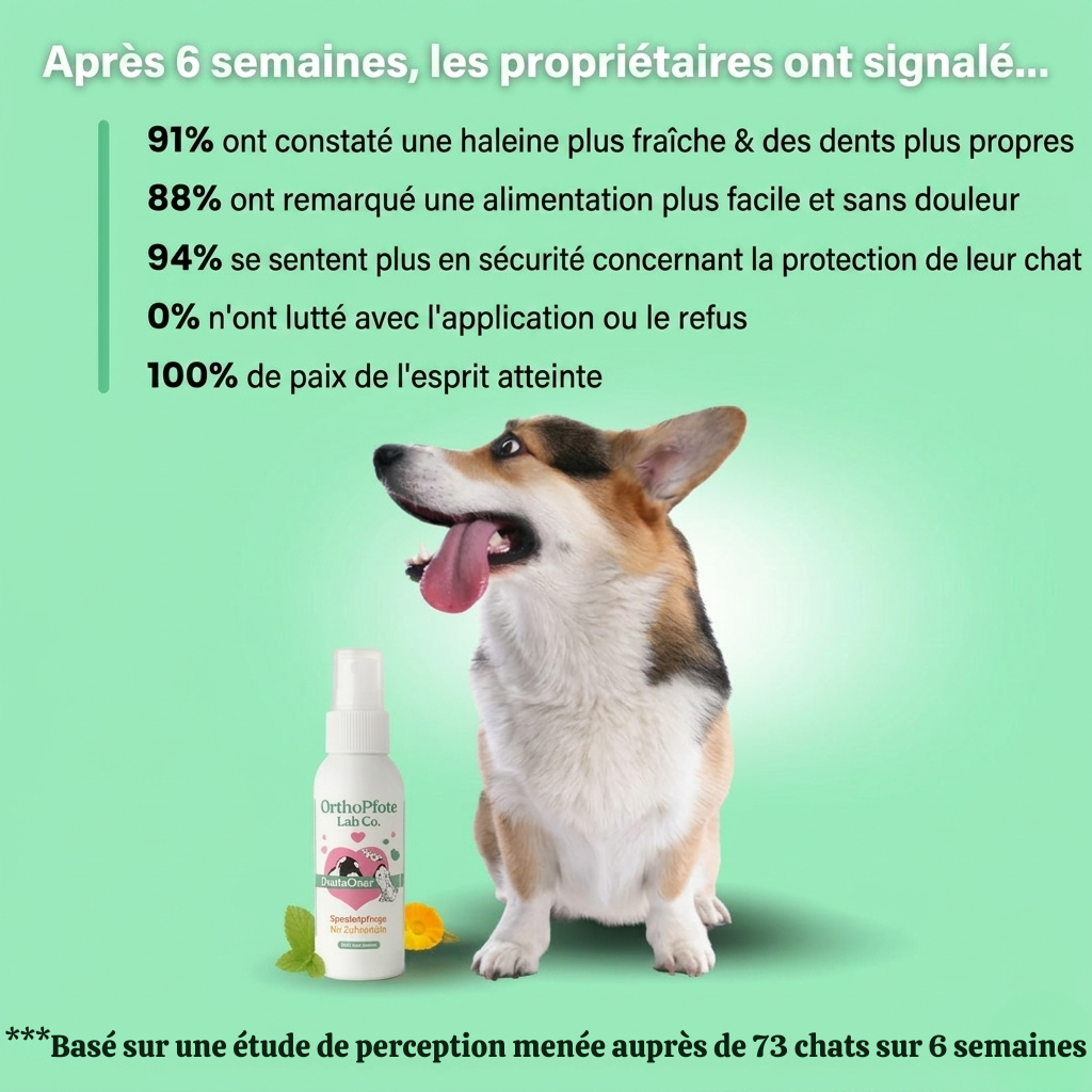OrthoPfote DentaNet®