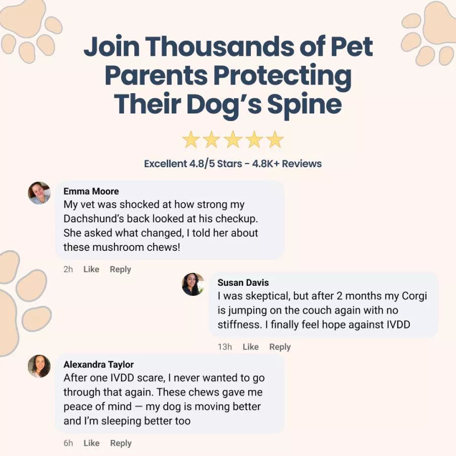 petsarekidstoo