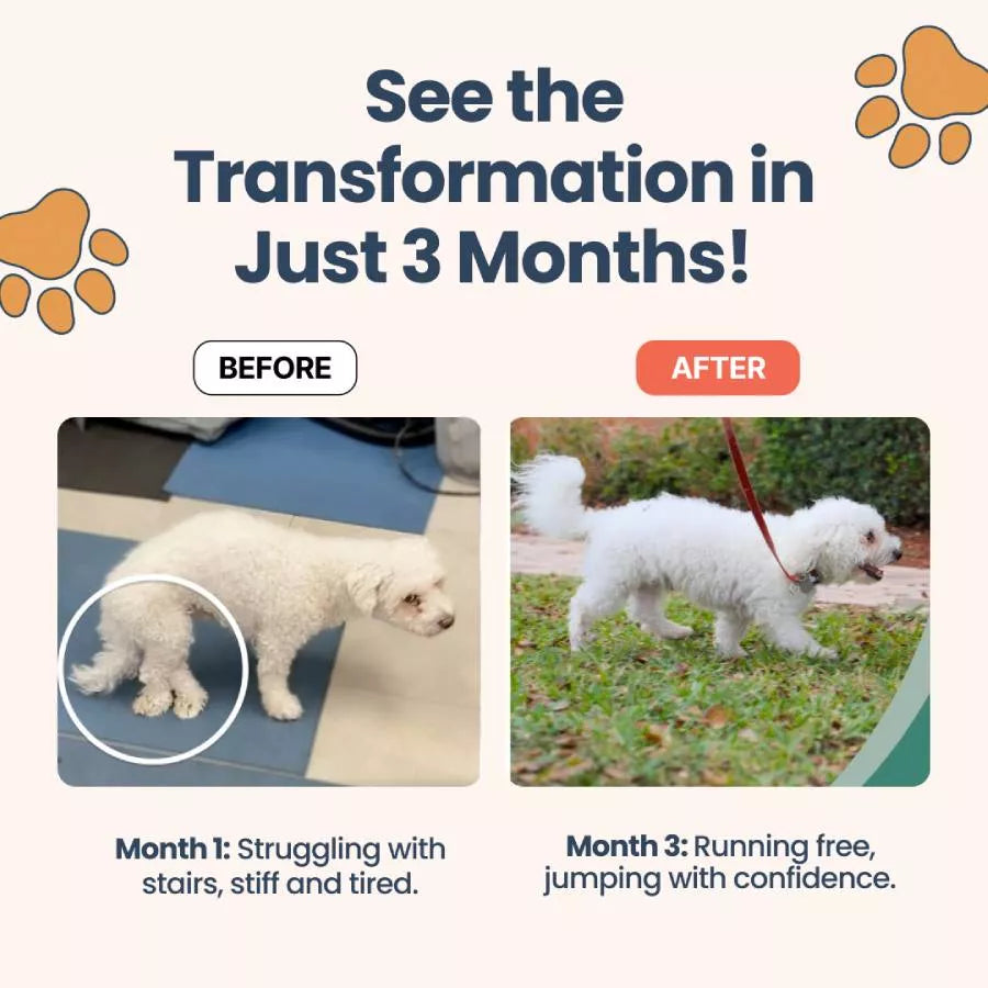 petsarekidstoo
