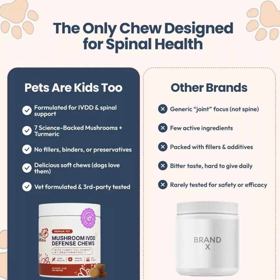 petsarekidstoo