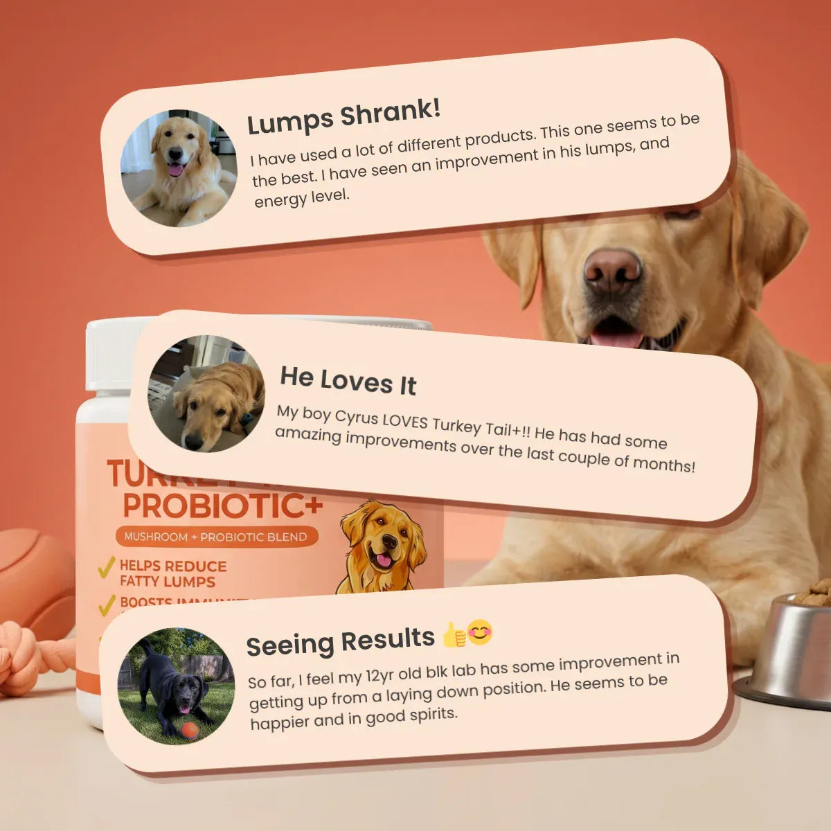 lumiqour - turkey-tail-probiotic™
