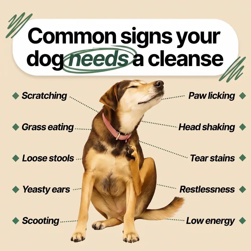 pawsylabs