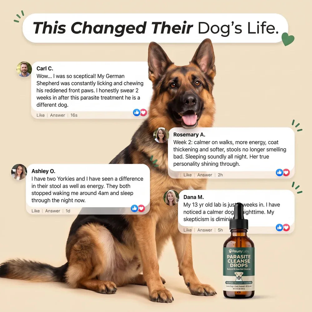 pawsylabs