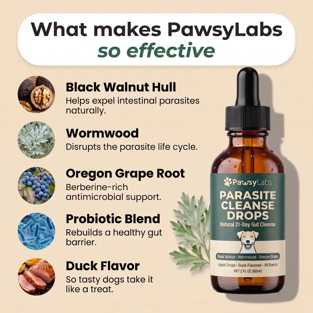 pawsylabs